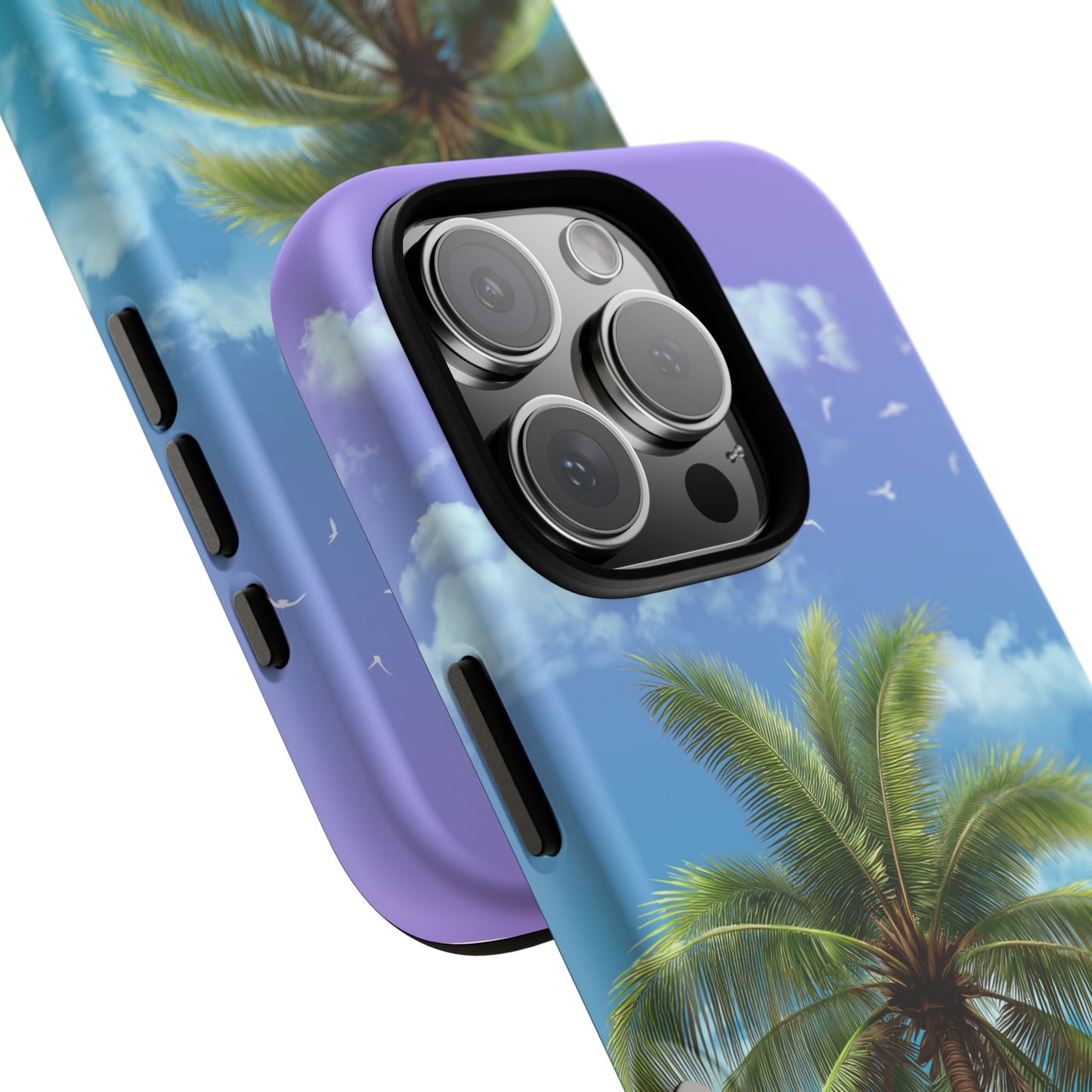 Palm Hour